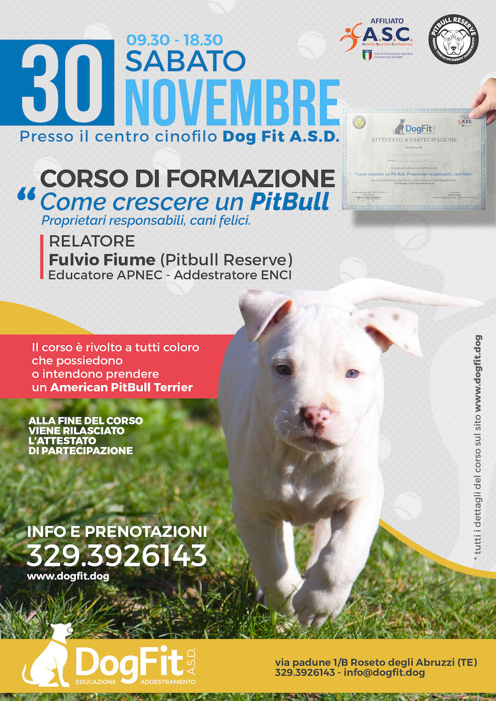 volantino-corso-pitbull-11-19-web
